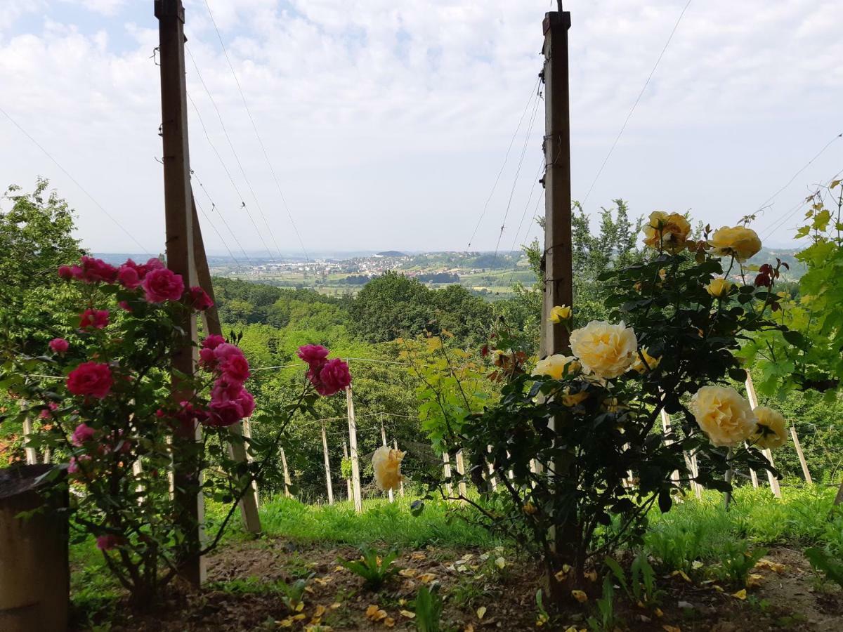 Villa House Of The Red Poppy Mirkovec Esterno foto